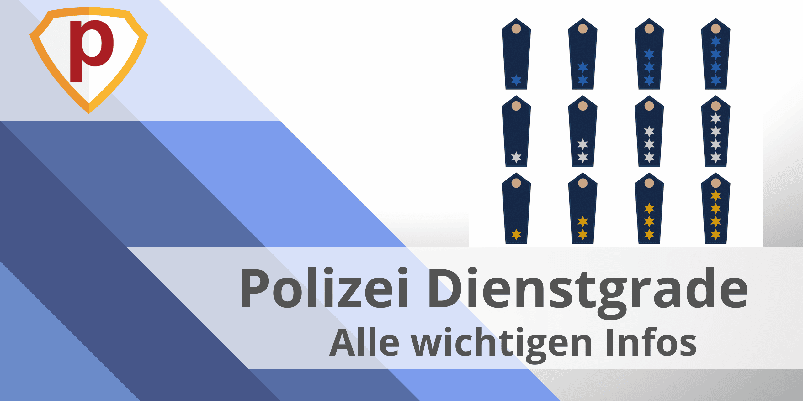 Polizei Berlin Polizeiwachtmeister Dienstgradabzeichen 3 alte Art 