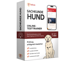Begleithundeprüfung Fragen 2026 Online Testtrainer