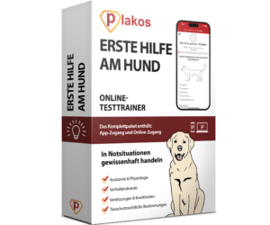 Erste Hilfe am Hund - Online Kurs