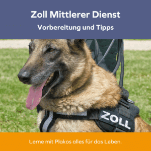 Zoll Mittlerer Dienst Einstellungstest