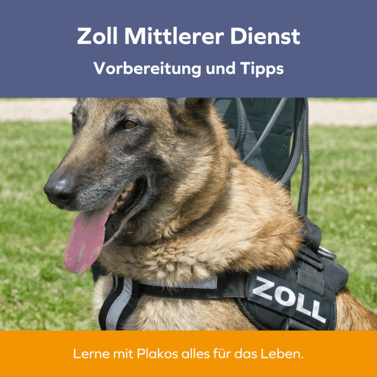 Zoll Mittlerer Dienst Einstellungstest