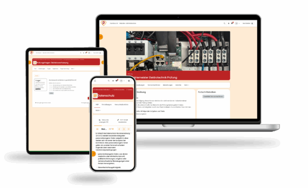Elektrofachkraft für festgelegte Tätigkeiten Prüfung 2025 Online Testtrainer – Bild 2