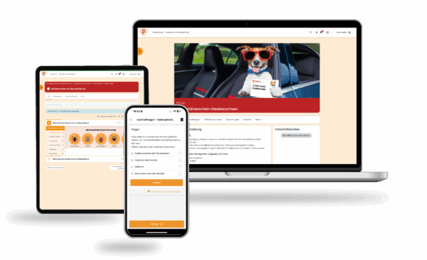 Hundeführerschein Niedersachsen 2025 Online Testtrainer – Bild 2