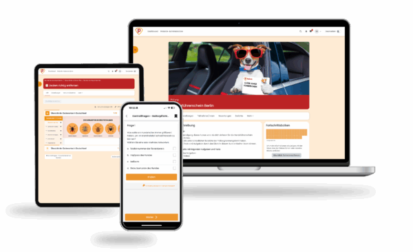 Hundeführerschein Berlin 2025 Online Testtrainer – Bild 2