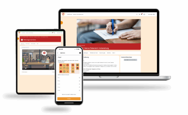 IQ Test / Mensa Österreich Vorbereitung 2025 Online Testtrainer – Bild 2