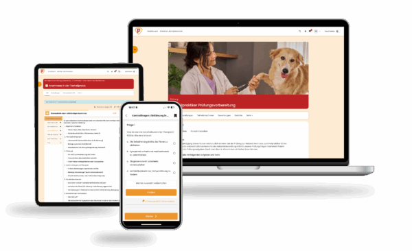 Prüfung für Tierheilpraktiker 2025 Online Testtrainer – Bild 2