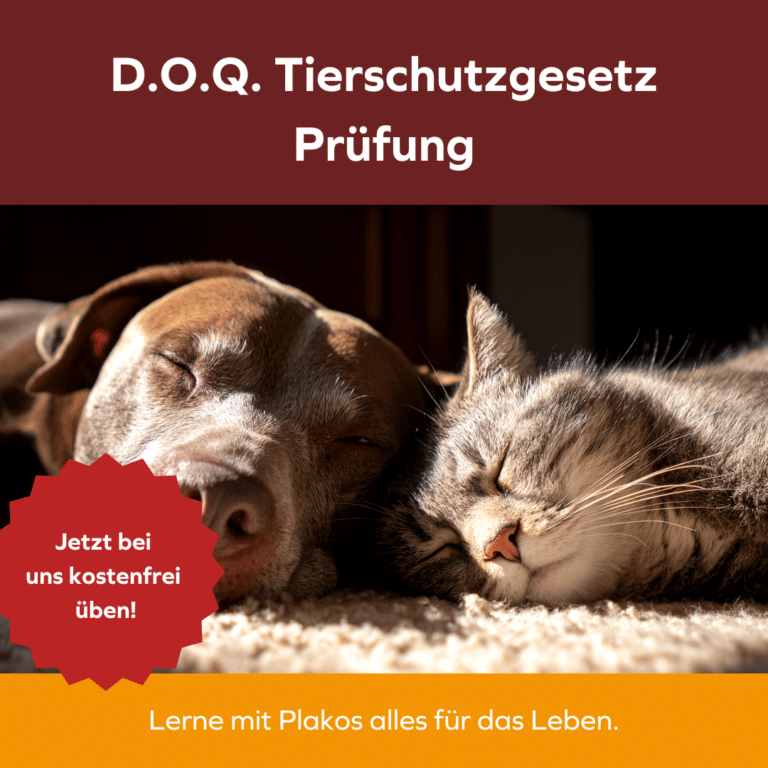 D.O.Q.-Test 2.0