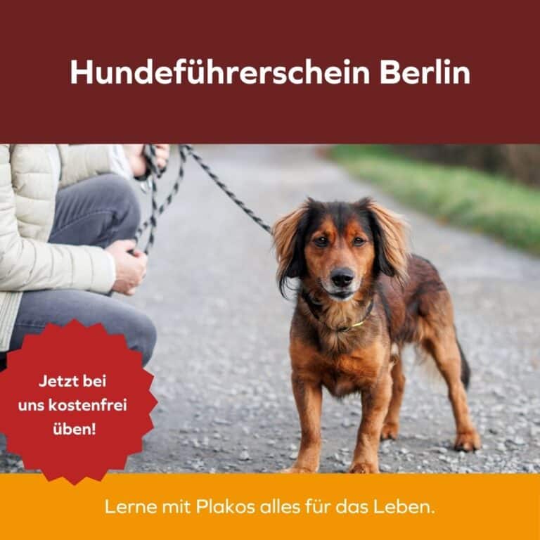 Hundeführerschein Berlin