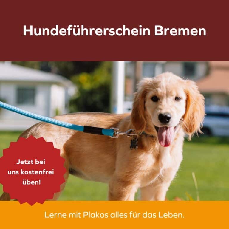 Hundeführerschein Bremen