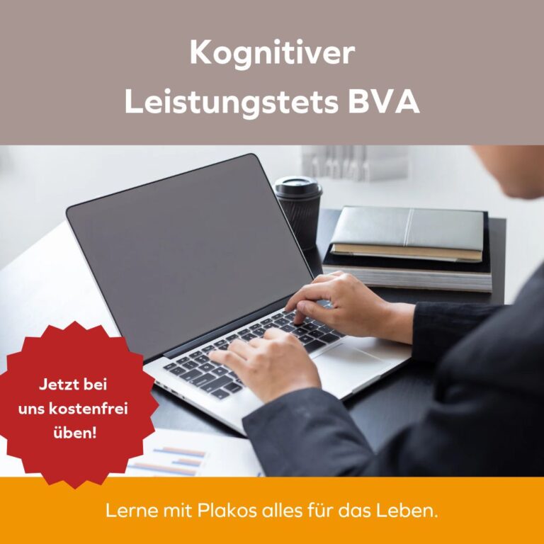 Kognitiver Leistungstest BVA